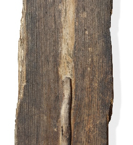 Galipolli