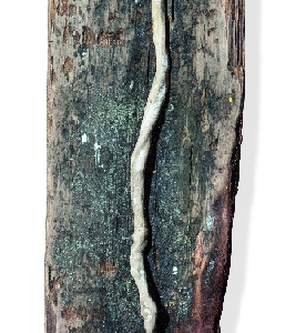 Estalingrado