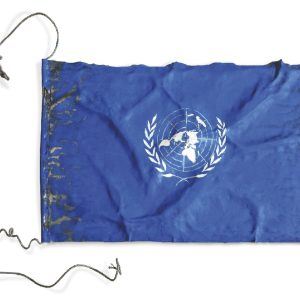 Bandera ONU