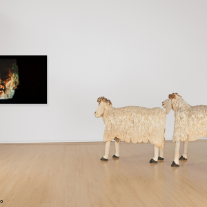 Instalación con video «Transeúntes"